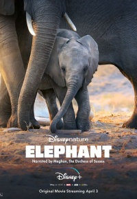 Los elefantes (2020)
